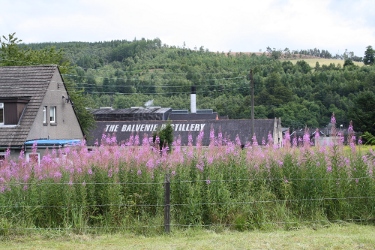 Balvenie Distillery