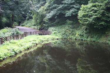 See Glengoyne Distillery